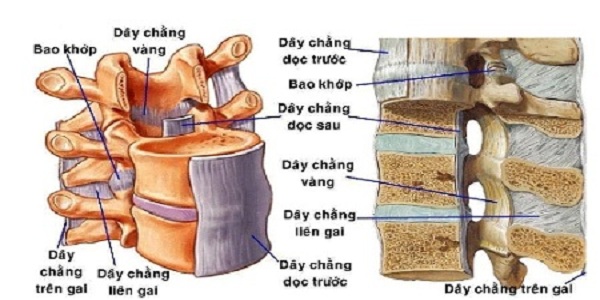 phi dai day chang